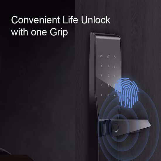 Digital Door Lock Security Intelligent Lock with Remote Control E